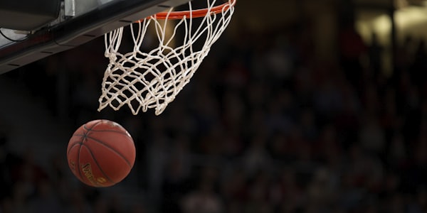 NBA洛杉矶湖人篮球队标志